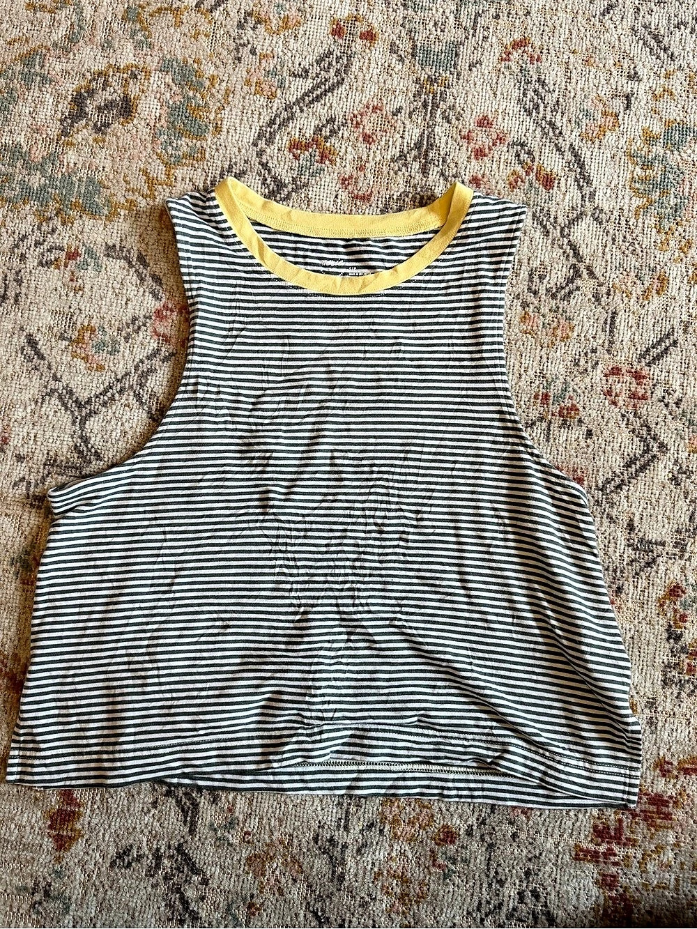 Aerie Striped Tank Top in Blue & White